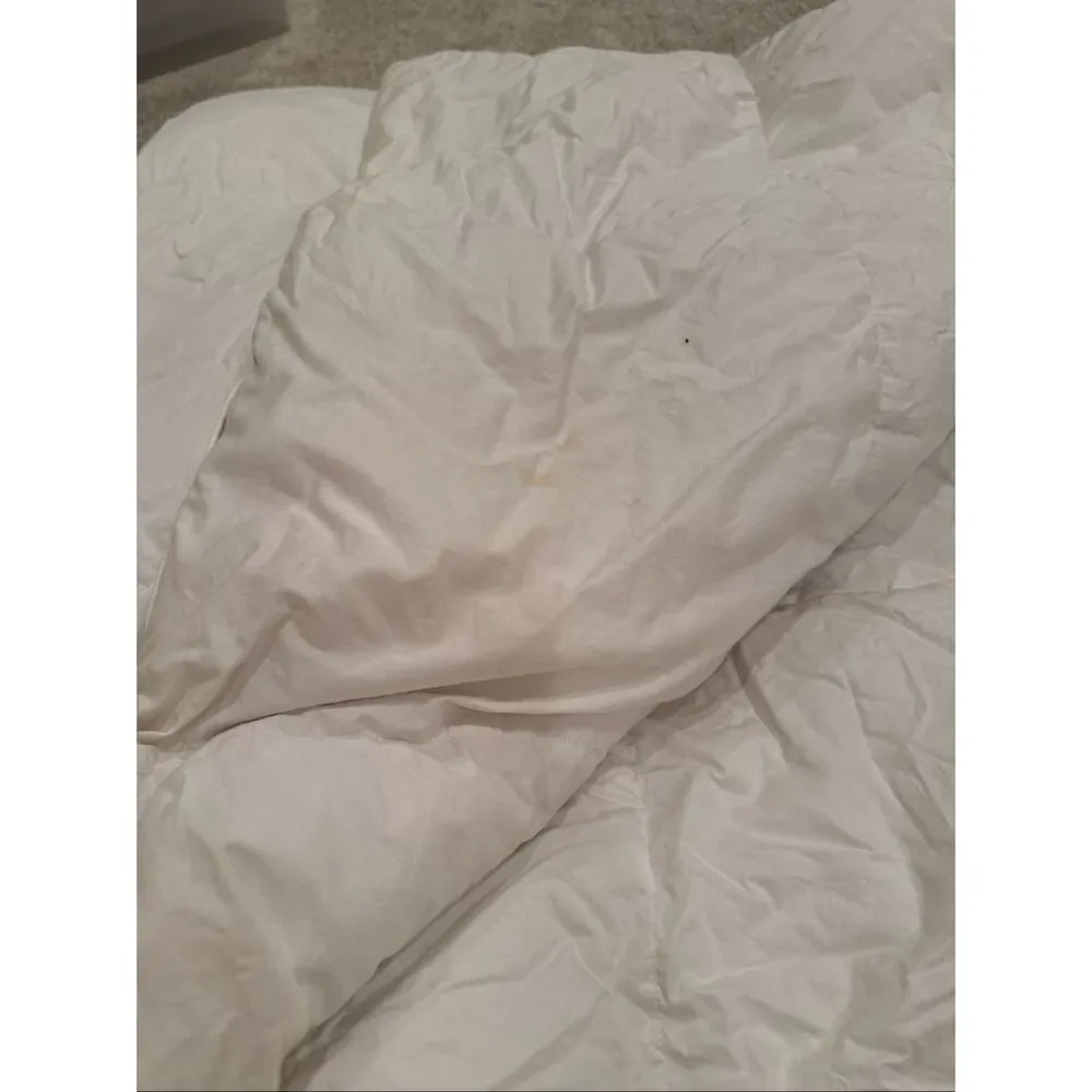 Eddie Bauer Goose Down Queen Baffle Duvet Blanket